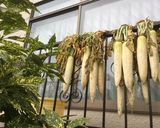 大根の沢庵漬け＊塩分6%＊作り方1写真