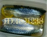 しめ鯖作り方5写真