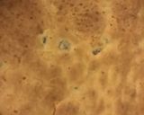 クランベリーコーンミールケーキ作り方5写真
