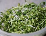 豆苗としらすのサラダ作り方3写真