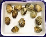 いつもの食材でポルトガル風を気取る‼️作り方1写真