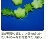 ブロッコリーの芯でグリーンのお花♡作り方4写真