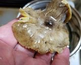 シモフリシメジの蓮根みぞれ汁・激旨（＾＾作り方5写真