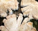 基本のトンテキ 簡単作り方5写真