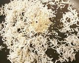 栄養たっぷり♪3色野菜としらすの副菜作り方4写真
