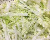 簡単特急レシピ！白菜の即席浅漬け作り方1写真