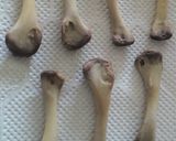 骨と歯と爪の強化に鶏の骨のサプリ作り方2写真