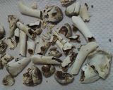 骨と歯と爪の強化に鶏の骨のサプリ作り方4写真