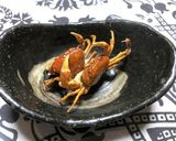 ☆沢蟹(サワガニ)の唐揚げ(さわがに)☆作り方5写真