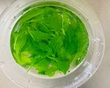 ヨメナの胡麻和え作り方2写真