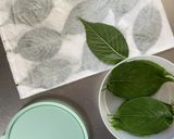 最短3日簡単綺麗に仕上がる桜葉の塩漬け　作り方7写真