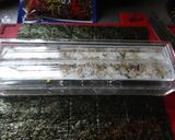 お手軽スパム結び作り方3写真