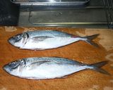 アジの塩焼き作り方3写真