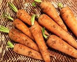 人参とレーズン 春菊醤油オイル和のペンネ作り方1写真