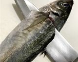鯵のたたき作り方1写真