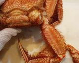 毛蟹の捌き方〜最も美味しい食べ方作り方2写真