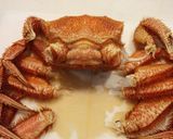 毛蟹の捌き方〜最も美味しい食べ方作り方3写真