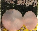 子供大好き♡のりまき型おにぎり作り方1写真