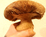 簡単！絶品！しいたけのバター焼き♡作り方1写真