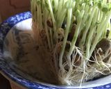 豆苗だけの簡単からし和え作り方4写真