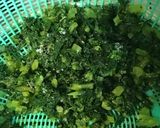 菜飯おむすび作り方2写真