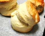 本場の味!?プレーンスコーン作り方9写真