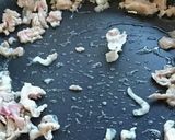 豚肉とゴボウのスタミナ料理作り方2写真
