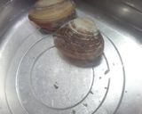 ホッキ貝、自分で蒸しておいしく食べよう！作り方5写真