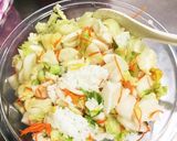 ジッパー付袋で簡単飯寿司作り方8写真