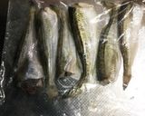 ジッパー付袋で簡単飯寿司作り方10写真
