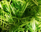 超簡単！だし要らず！水菜とツナの炒め煮！作り方2写真