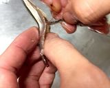 包丁要らずキビナゴの造り作り方5写真