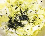 白菜のお漬物作り方1写真