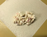 旨旨☆蛸とはんぺん春巻き作り方5写真