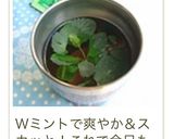 ダブルミントティー☆作り方7写真