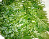 豆苗ともやしのオイスターソース♪作り方1写真