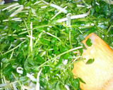 豆苗ともやしのオイスターソース♪作り方5写真