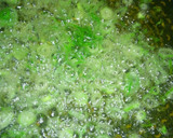 鶏皮で＊焦がしネギ香る♪鶏ネギ油(鶏油)作り方2写真