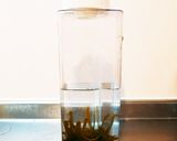 余った根菜♪こんにゃく鶏肉こっくり煮物☆作り方9写真