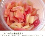 懐かしの味♪簡単！りんごのシャーベット♡作り方10写真
