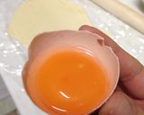 甘さ控えめ★生地から手作りアップルパイ作り方1写真