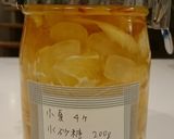 ［覚書］小夏のサワードリンク作り方2写真