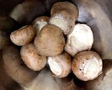 エビ・ホタテ・白菜のクリーム煮作り方4写真