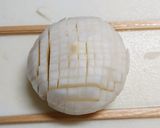 おせちを華やかに(〃∇〃)菊花蕪作り方2写真