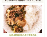 白菜と豚肉のあんかけ中華丼風作り方11写真
