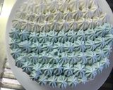 ことり隊 セキセイインコ 立体ケーキ作り方4写真