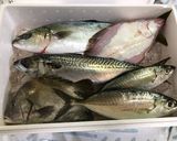 揚魚のエスニック風甘酢餡掛けパクチー添え作り方9写真