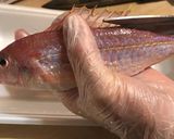 魚の臭みをとる方法(特に鯛類)作り方1写真