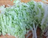 白菜の大量消費に！簡単な浅漬作り方1写真