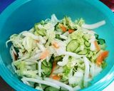 白菜が美味しい♪もりもり野菜の昆布締め作り方11写真